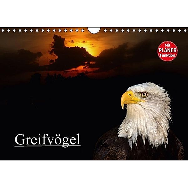 Greifvögel (Wandkalender 2017 DIN A4 quer), Arno Klatt