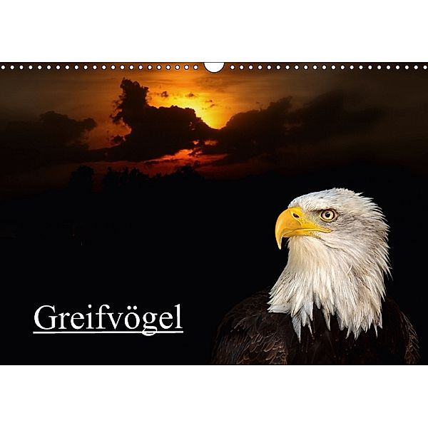 Greifvögel (Wandkalender 2018 DIN A3 quer), Arno Klatt