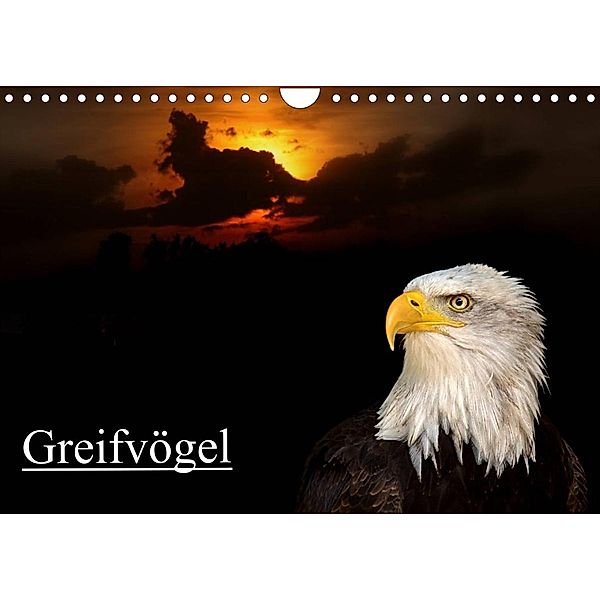 Greifvögel (Wandkalender 2023 DIN A4 quer), Arno Klatt