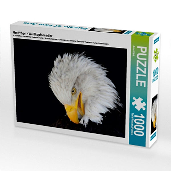 Greifvögel - Weißkopfseeadler (Puzzle), Arno Klatt