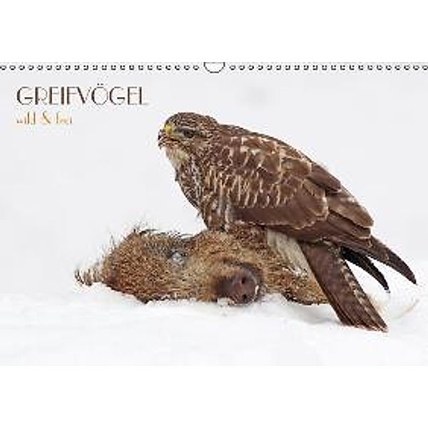 GREIFVÖGEL wild & frei (Wandkalender 2014 DIN A4 quer), Wolfgang Brandmeier