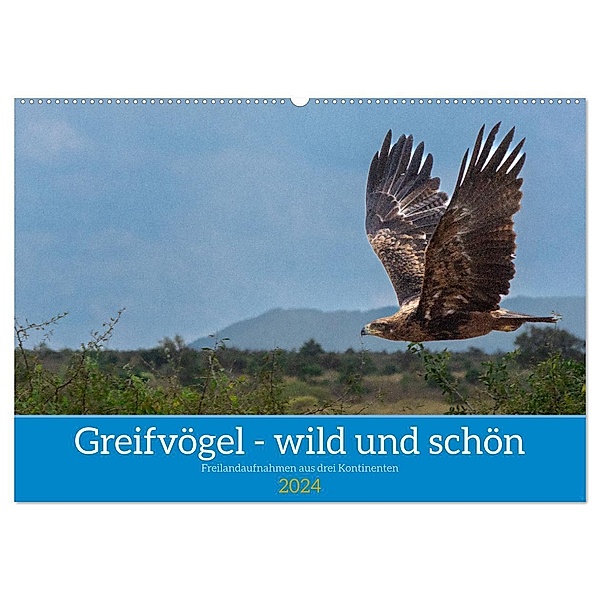 Greifvögel - wild und schön (Wandkalender 2024 DIN A2 quer), CALVENDO Monatskalender, Bruno Pohl
