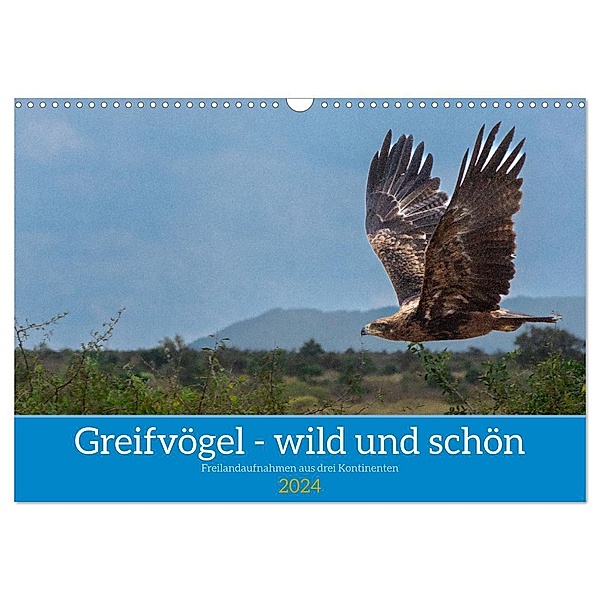 Greifvögel - wild und schön (Wandkalender 2024 DIN A3 quer), CALVENDO Monatskalender, Bruno Pohl