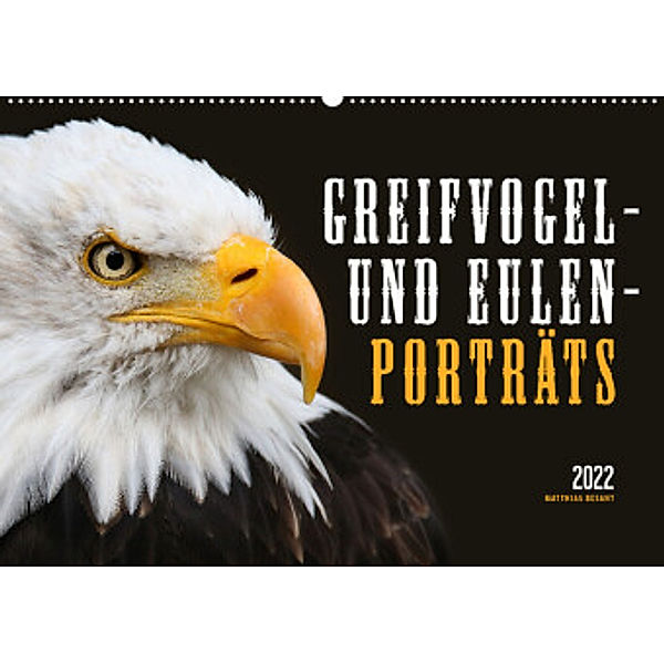 GREIFVOGEL- UND EULENPORTRÄTS (Wandkalender 2022 DIN A2 quer), Matthias Besant