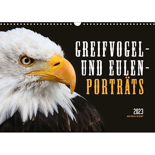 GREIFVOGEL- UND EULENPORTRÄTS (Wandkalender 2023 DIN A3 quer), Matthias Besant