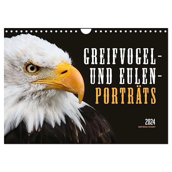 GREIFVOGEL- UND EULENPORTRÄTS (Wandkalender 2024 DIN A4 quer), CALVENDO Monatskalender, Matthias Besant
