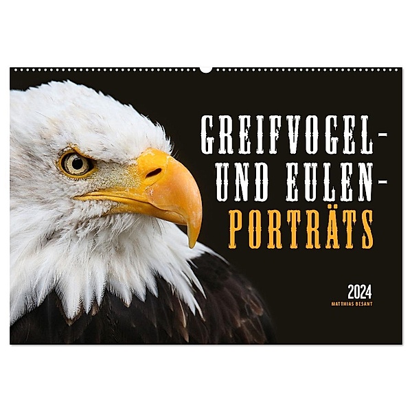 GREIFVOGEL- UND EULENPORTRÄTS (Wandkalender 2024 DIN A2 quer), CALVENDO Monatskalender, Matthias Besant