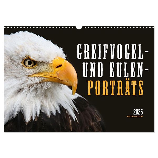 GREIFVOGEL- UND EULENPORTRÄTS (Wandkalender 2025 DIN A3 quer), CALVENDO Monatskalender, Calvendo, Matthias Besant