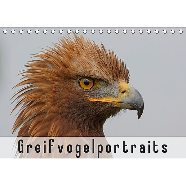 Greifvogelportraits (Tischkalender 2019 DIN A5 quer), Gerald Wolf
