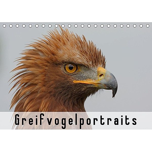 Greifvogelportraits (Tischkalender 2021 DIN A5 quer), Gerald Wolf
