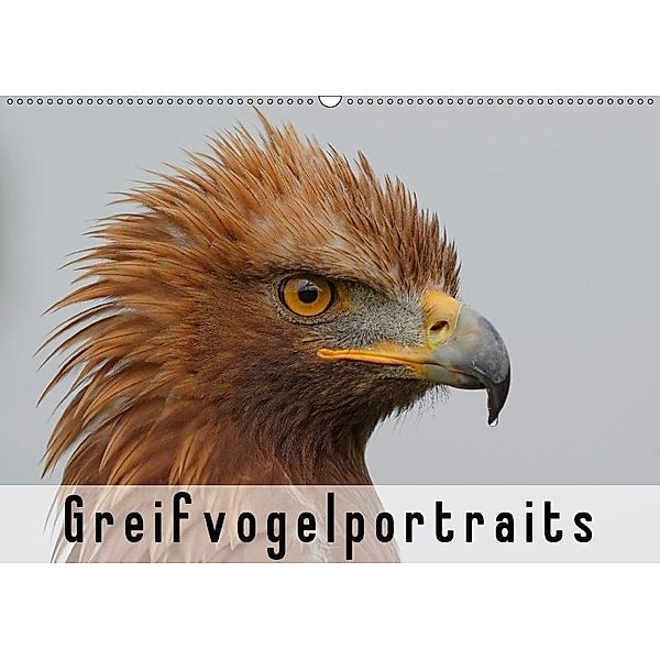 Greifvogelportraits (Wandkalender 2017 DIN A2 quer), Gerald Wolf