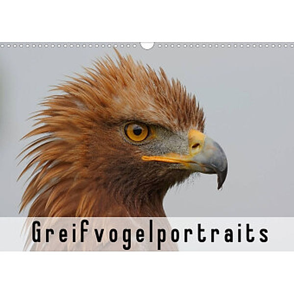 Greifvogelportraits (Wandkalender 2022 DIN A3 quer), Gerald Wolf