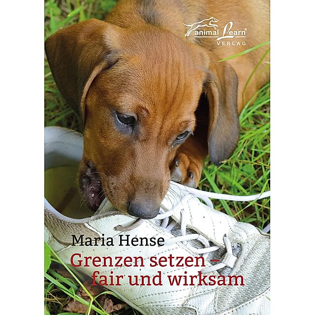 Grenzen setzen Buch von Maria Hense versandkostenfrei bei Weltbild.ch