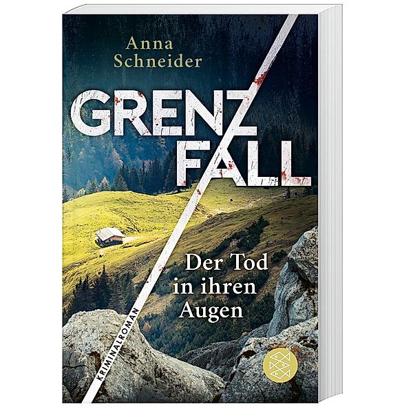 Grenzfall - Der Tod in ihren Augen / Jahn und Krammer ermitteln Bd.1, Anna Schneider