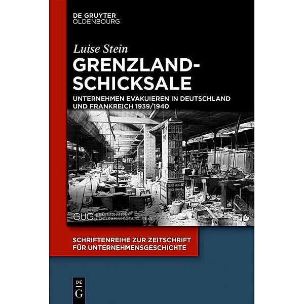 Grenzlandschicksale / Schriftenreihe zur Zeitschrift für Unternehmensgeschichte Bd.31, Luise Stein