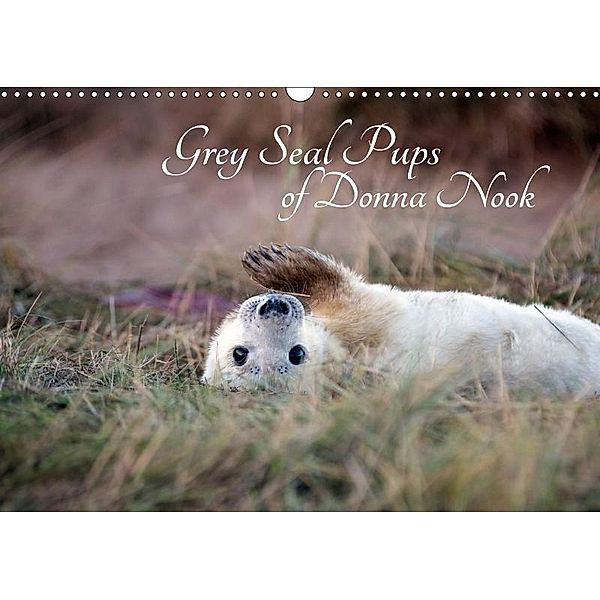 Grey Seal Pups of Donna Nook (Wall Calendar 2017 DIN A3 Landscape), Wendy Thompson-Moon