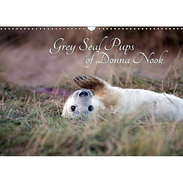 Grey Seal Pups of Donna Nook (Wall Calendar 2018 DIN A3 Landscape), Wendy Thompson-Moon