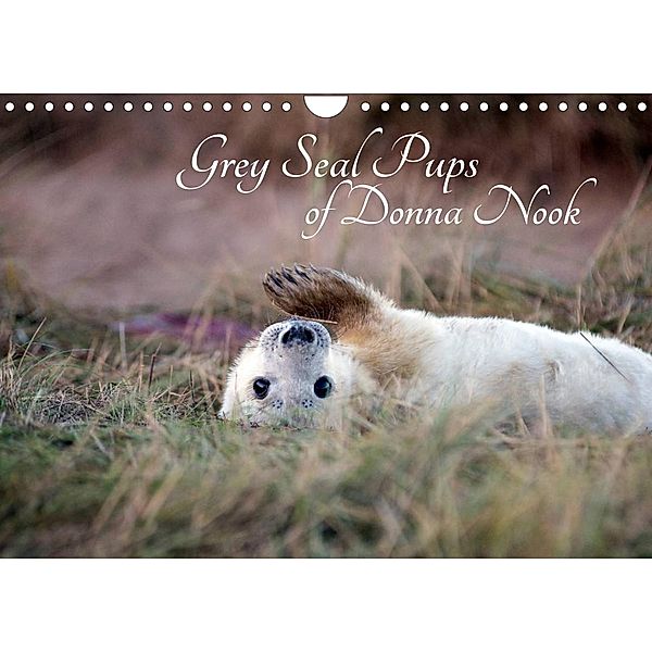 Grey Seal Pups of Donna Nook (Wall Calendar 2023 DIN A4 Landscape), Wendy Thompson-Moon