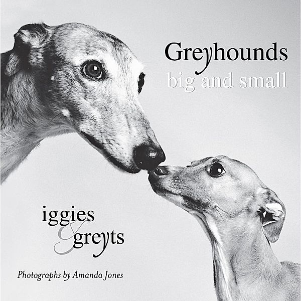 Greyhounds Big and Small, Amanda Jones