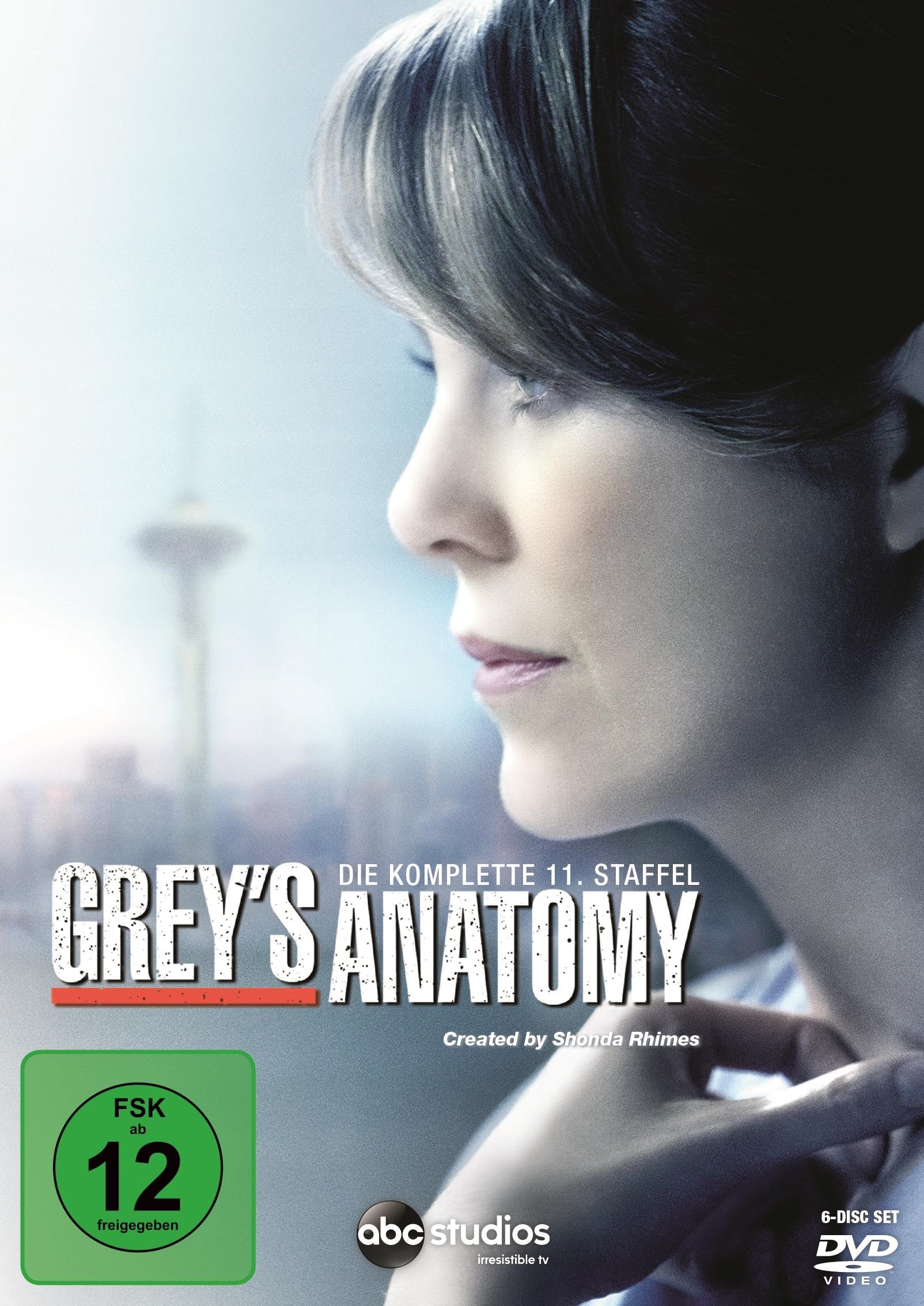 Image of Grey's Anatomy - Die komplette Staffel 11