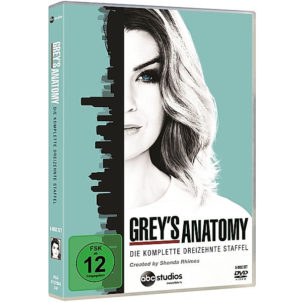 Grey's Anatomy - Staffel 13, Diverse Interpreten