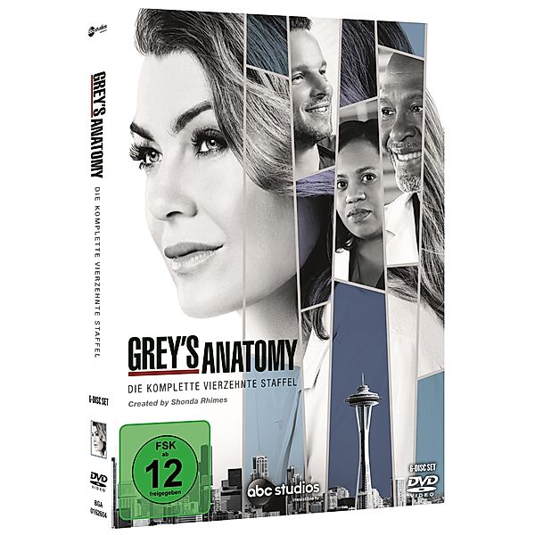 Grey's Anatomy - Staffel 14, Diverse Interpreten