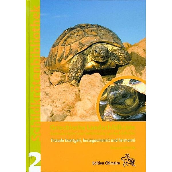 Griechische Landschildkröte, Holger Vetter