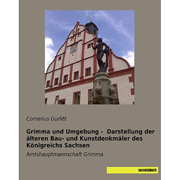 Grimma und Umgebung - Darstellung der älteren Bau- und Kunstdenkmäler des Königreichs Sachsen, Cornelius Gurlitt