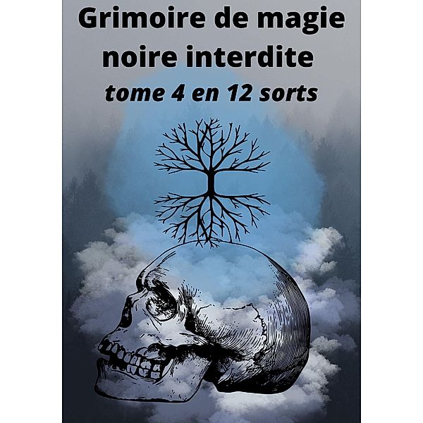 Grimoire de magie noire interdite / Grimoire de magie noire interdite Bd.4, D. Hexin
