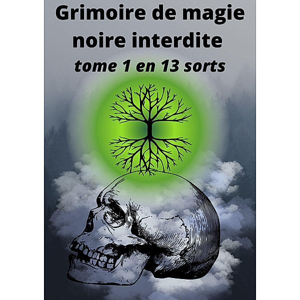 Grimoire de magie noire interdite / Grimoire de magie noire interdite Bd.1, D. Hexin
