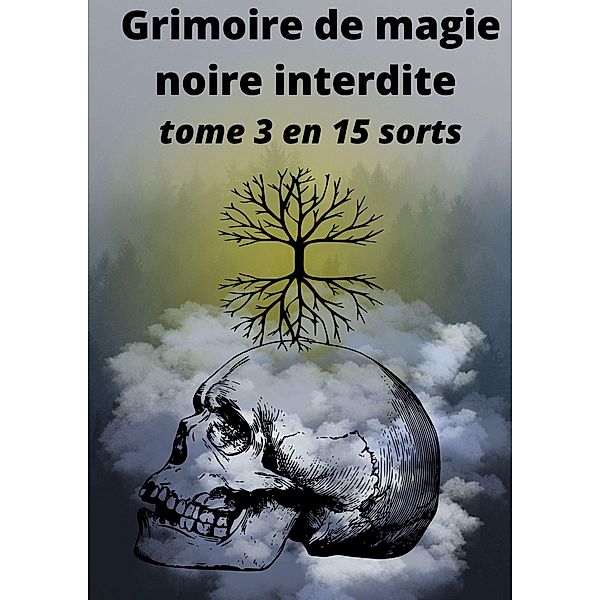 Grimoire de magie noire interdite / Grimoire de magie noire interdite Bd.3, D. Hexin