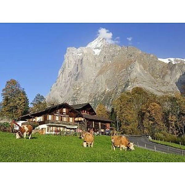 Grindelwald - 1.000 Teile (Puzzle)