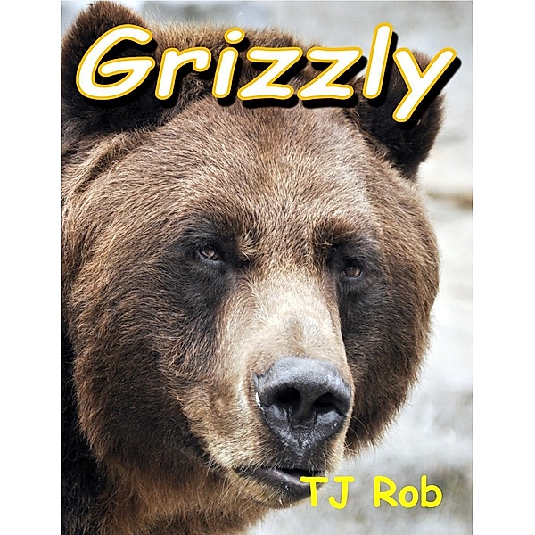Grizzly (Discovering The World Around Us) / Discovering The World Around Us, Tj Rob