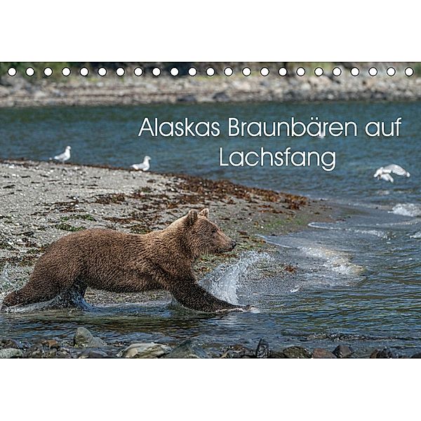 Grizzlybären im Katmai Nationalpark Alaska (Tischkalender 2021 DIN A5 quer), Photo4emotion.com