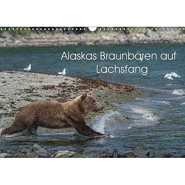 Grizzlybären im Katmai Nationalpark Alaska (Wandkalender 2021 DIN A3 quer), Photo4emotion.com