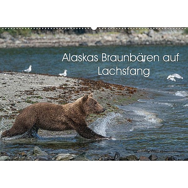 Grizzlybären im Katmai Nationalpark Alaska (Wandkalender 2023 DIN A2 quer), Photo4emotion.com