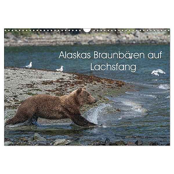 Grizzlybären im Katmai Nationalpark Alaska (Wandkalender 2024 DIN A3 quer), CALVENDO Monatskalender, Photo4emotion.com