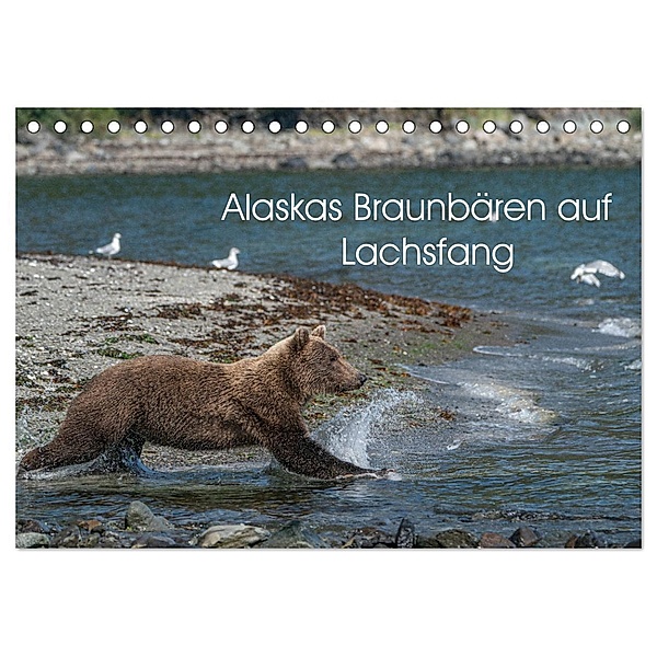 Grizzlybären im Katmai Nationalpark Alaska (Tischkalender 2024 DIN A5 quer), CALVENDO Monatskalender, Photo4emotion.com