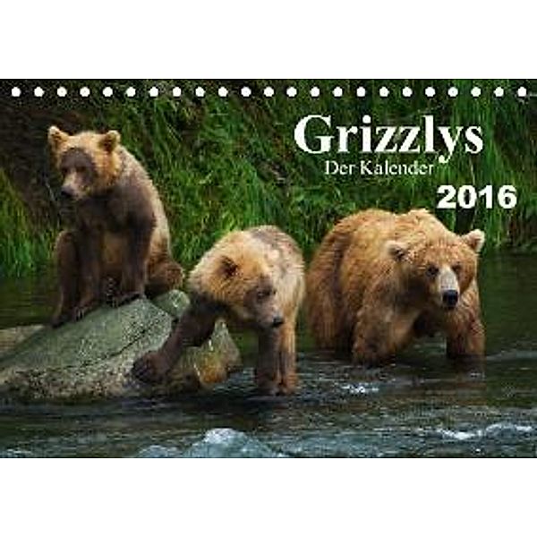 Grizzlys - Der Kalender  CH-Version (Tischkalender 2016 DIN A5 quer), Max Steinwald