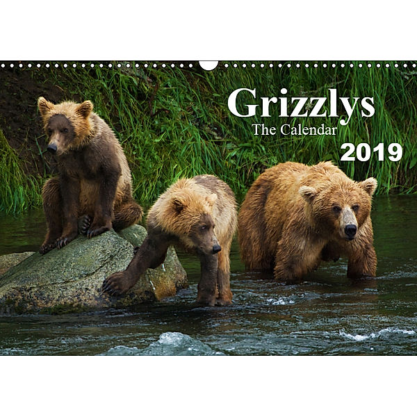 Grizzlys - The Calendar UK-Version (Wall Calendar 2019 DIN A3 Landscape), Max Steinwald