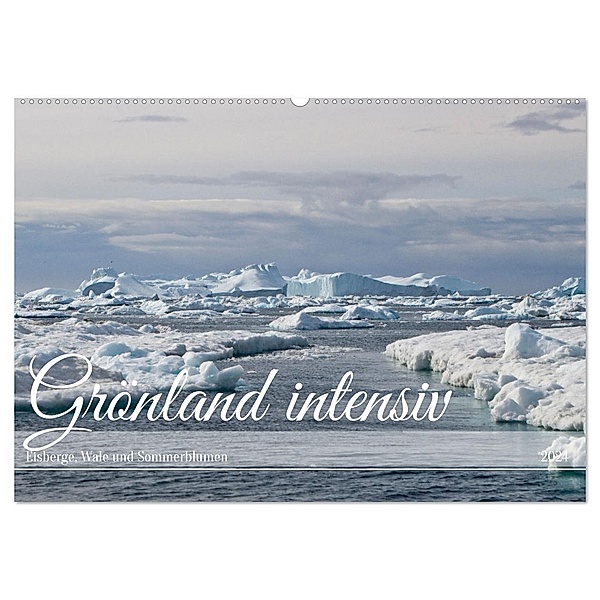 Grönland intensiv (Wandkalender 2024 DIN A2 quer), CALVENDO Monatskalender, Anita Gerhard