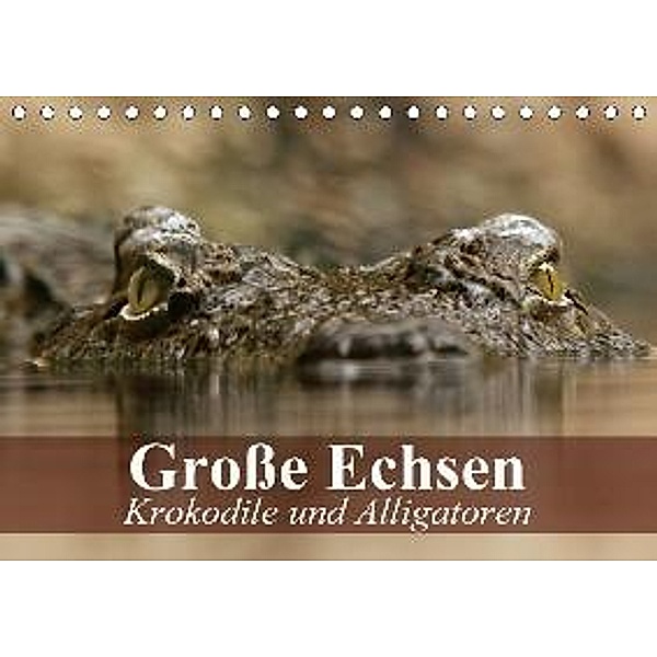 Große Echsen. Krokodile und Alligatoren (Tischkalender 2017 DIN A5 quer), Elisabeth Stanzer