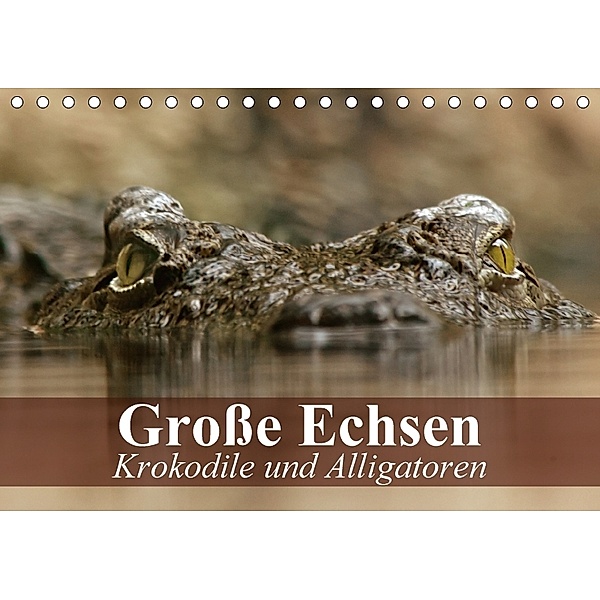 Große Echsen. Krokodile und Alligatoren (Tischkalender 2018 DIN A5 quer), Elisabeth Stanzer