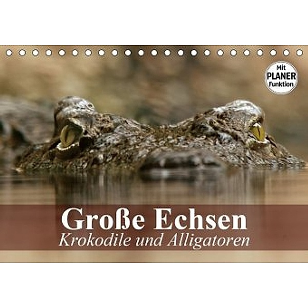 Große Echsen. Krokodile und Alligatoren (Tischkalender 2020 DIN A5 quer), Elisabeth Stanzer