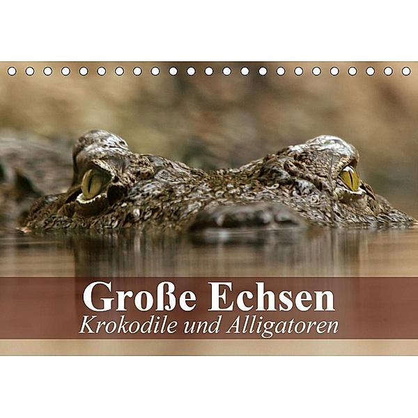 Große Echsen. Krokodile und Alligatoren (Tischkalender 2020 DIN A5 quer), Elisabeth Stanzer