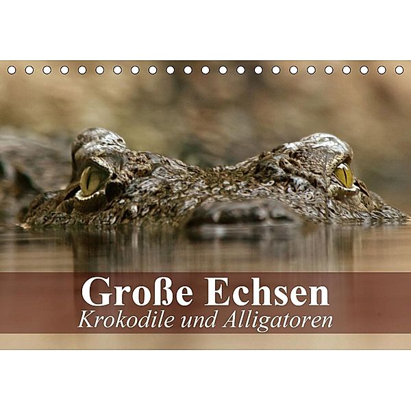 Große Echsen. Krokodile und Alligatoren (Tischkalender 2021 DIN A5 quer), Elisabeth Stanzer