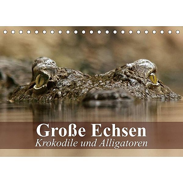 Große Echsen. Krokodile und Alligatoren (Tischkalender 2023 DIN A5 quer), Elisabeth Stanzer