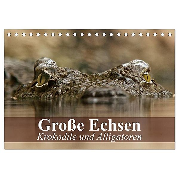 Grosse Echsen. Krokodile und Alligatoren (Tischkalender 2024 DIN A5 quer), CALVENDO Monatskalender, Elisabeth Stanzer