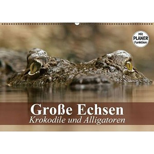 Große Echsen. Krokodile und Alligatoren (Wandkalender 2016 DIN A2 quer), Elisabeth Stanzer