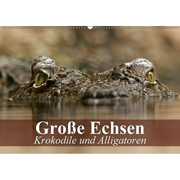 Große Echsen. Krokodile und Alligatoren (Wandkalender 2017 DIN A2 quer), Elisabeth Stanzer